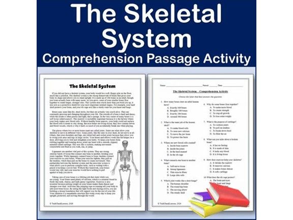 The Skeletal System - Biology Reading Comp Passage & Activity | Editable