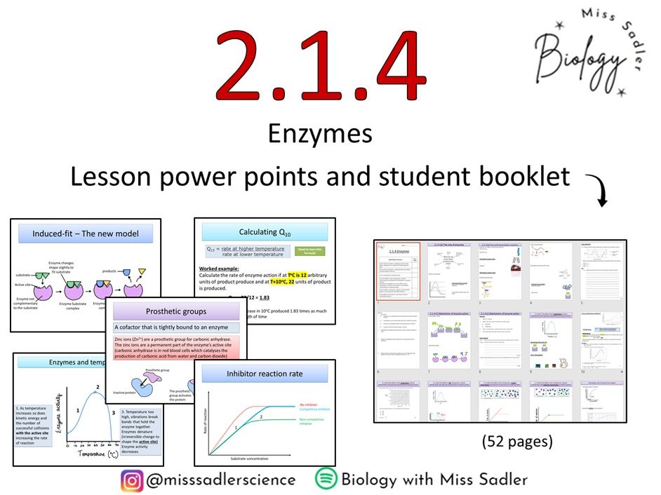 2.1.4 Enzymes OCR A level Biology (approx 16 lessons)