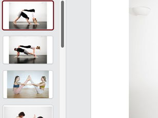 Paired yoga balances