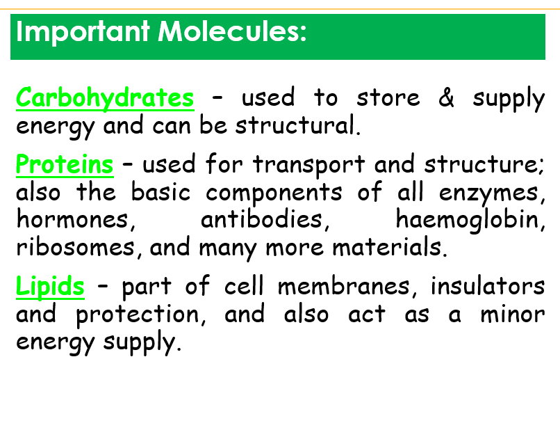 AQA  A-level 1.1 - Introduction to biological molecules