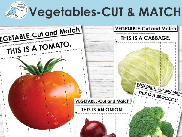 Vegetable Cut and Match – Speech Therapy, ESL, Early Learning, Logic Skills Printable