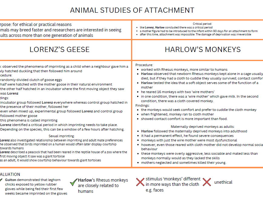 AQA A-Level Psychology Attachment knowledge organisers (NEW SPEC)