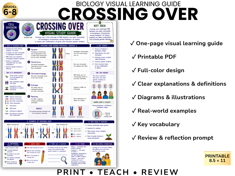 CROSSING OVER | Biology Visual Learning Guide | Grade 8 & Middle School Science