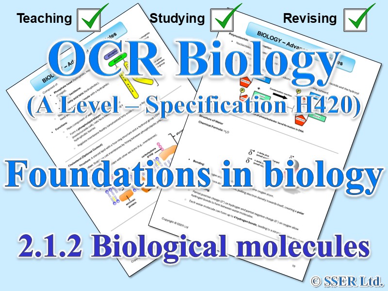 BIOA_OCR Topic Notes: 2.1.2 Biological molecules