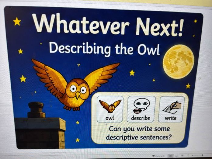 Whatever Next- Describing the Owl- SEN symbols included plus sheets