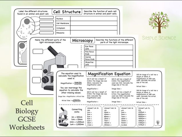 GCSE Biology - Cell Structure Worksheets | Teaching Resources
