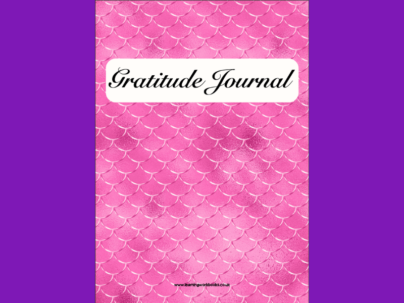 Hot Pink Gratitude Journal 3