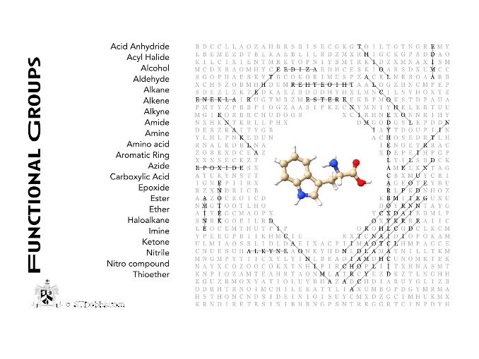 Functional groups wordsearch