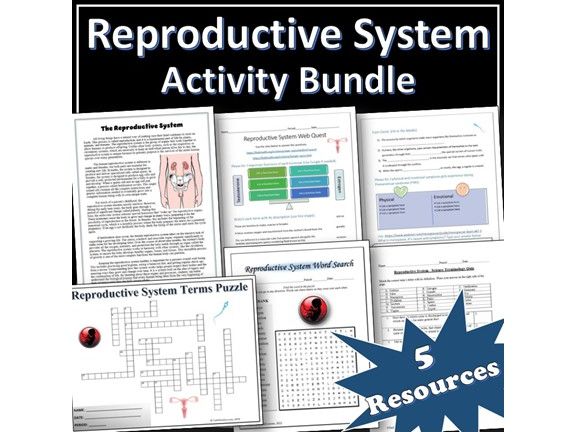 Reproductive System - Science Activity Bundle | Webquest | Puzzles | EDITABLE