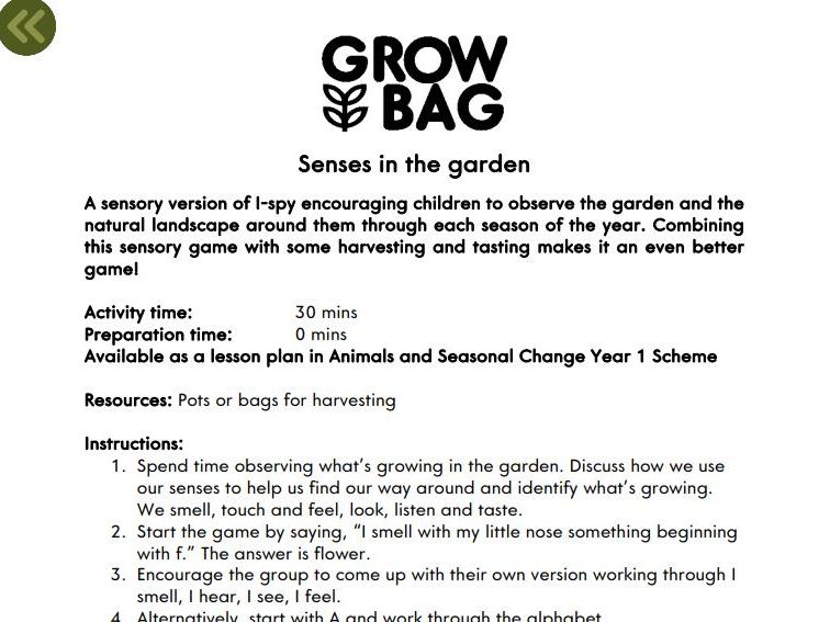 Senses in the garden. Sensory i-spy