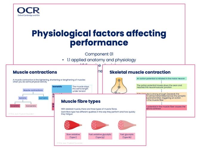 OCR A Level Physical Education - Applied Anatomy and Physiology: Skeletal and Muscular Systems Slide