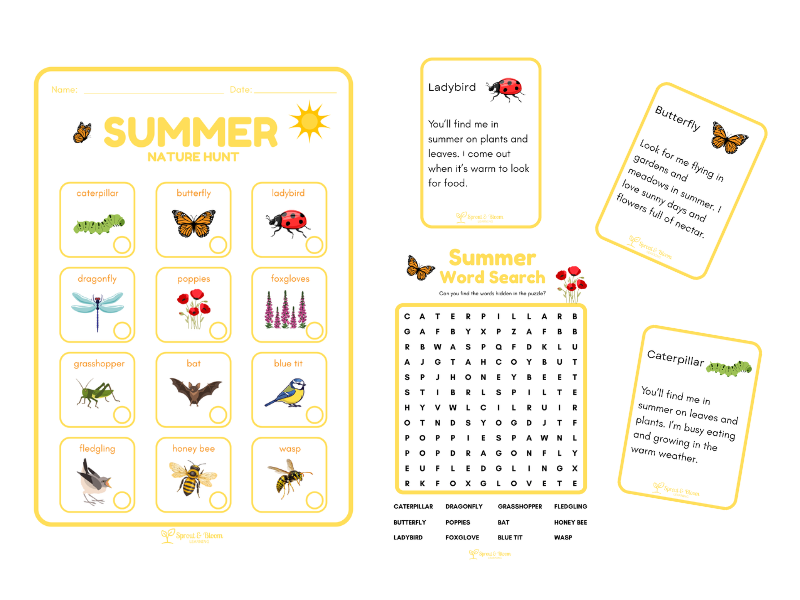 Summer Nature Hunt | Outdoor Learning Activity |KS1 & EYFS Seasonal Science