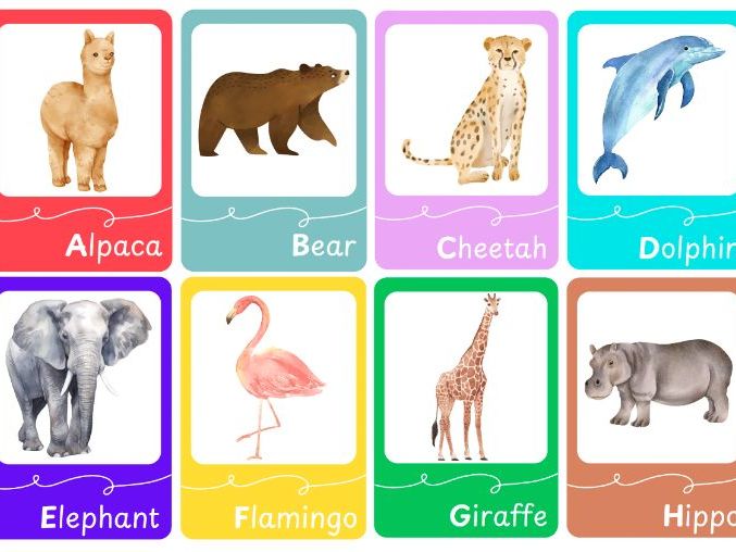 Animal Alphabet Flashcards