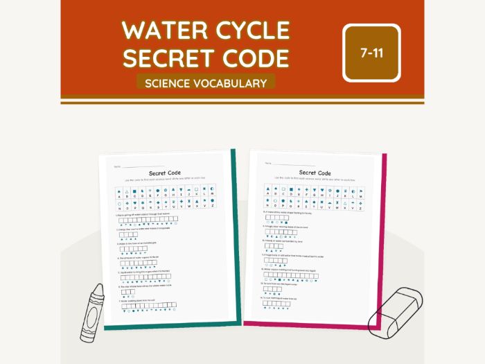 Water Cycle Secret Code KS2 Science | 7 pp