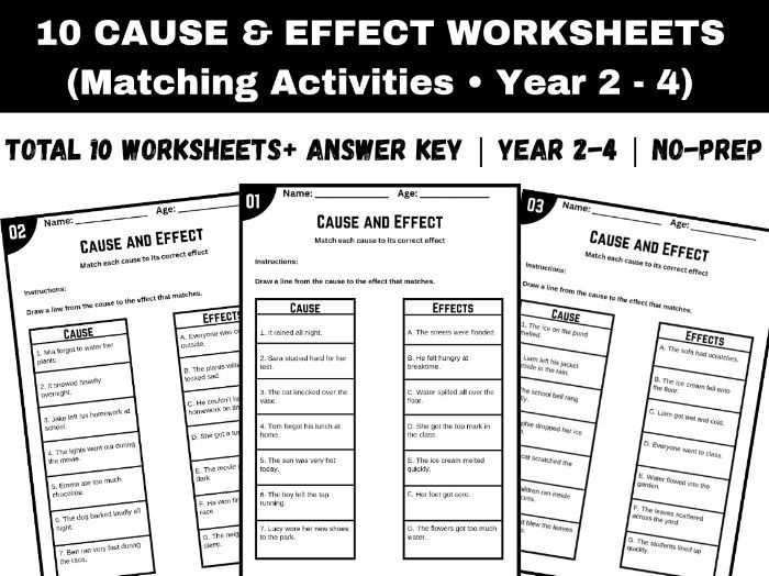 Cause and Effect Worksheets Year 2–4 + answer key