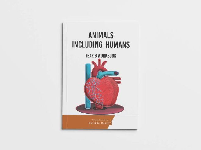 Animals Including Humans Y6 Workbook