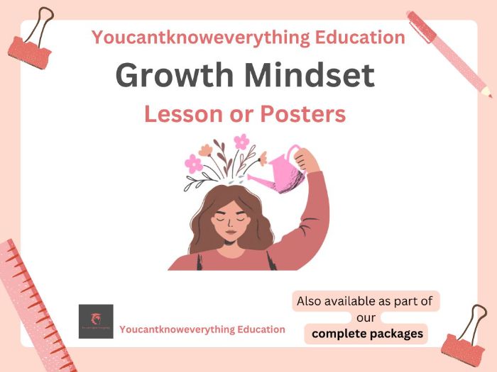 Growth Mindset Posters PSHE