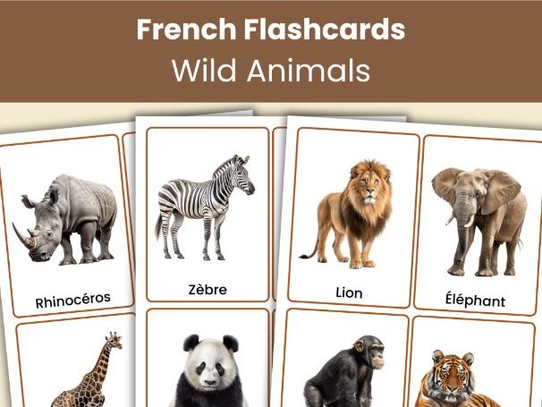 French Wild Animal Flashcards | 40 Printable French Vocabulary Picture Cards