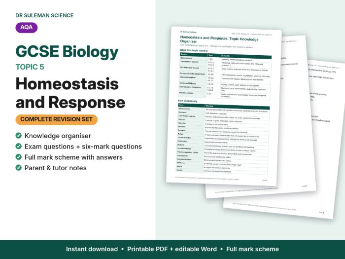 AQA GCSE Biology B5 Homeostasis & Response Revision