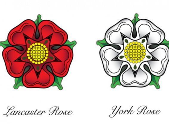 War of the Roses - White/Red rose information sheet