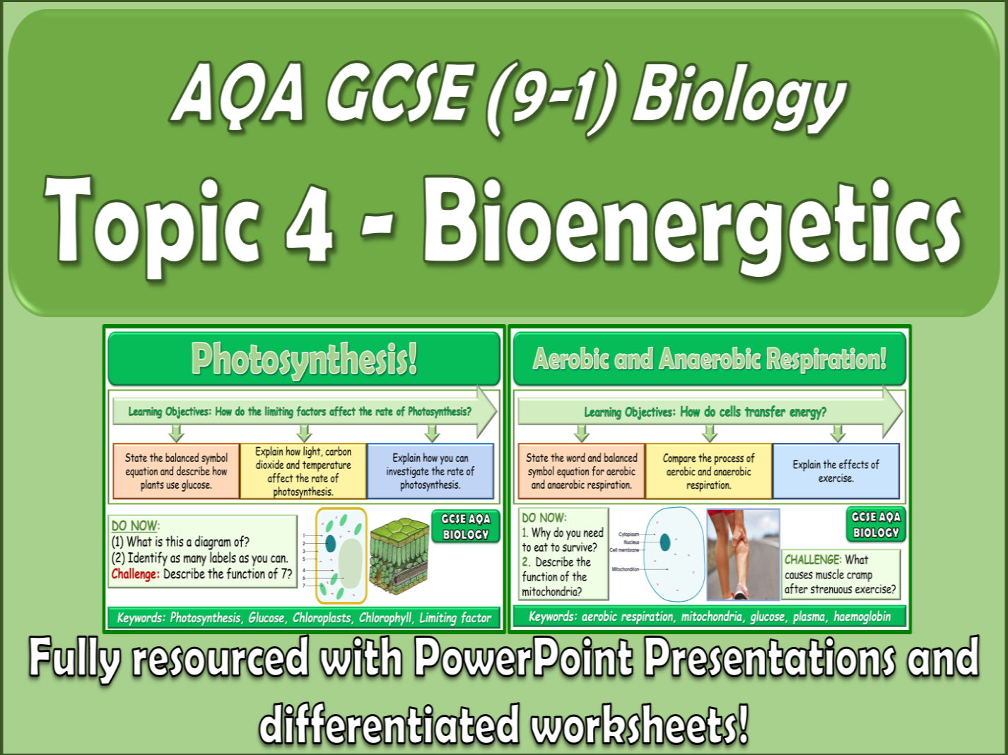 AQA GCSE (9-1) Biology Topic 4 Bioenergetics