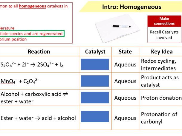 Homogeneous Catalysis & Autocatalysis – Mechanisms & Redox Cycles