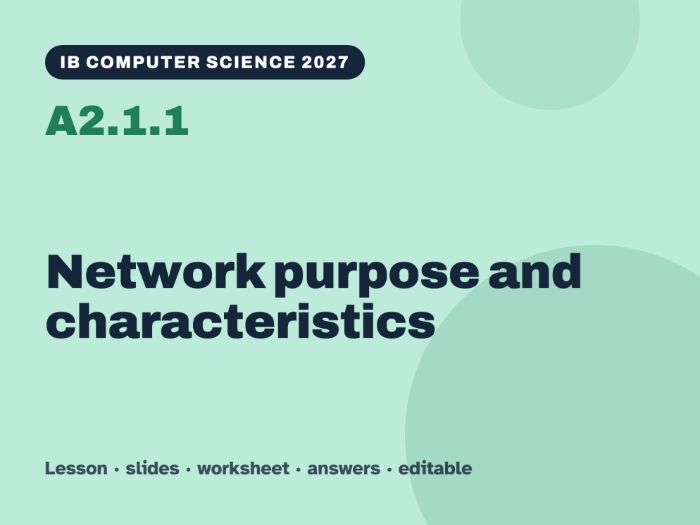 IB Computer Science 2027 – A2.1.1 Network purpose and characteristics – Lesson & Worksheet