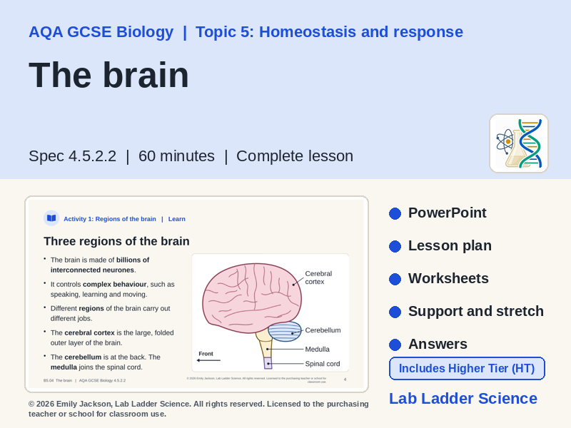 B5-04 The Brain: AQA GCSE Biology