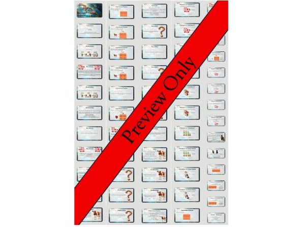 Codominant Inheritance – Genetics Lesson with Punnett Squares (PowerPoint)