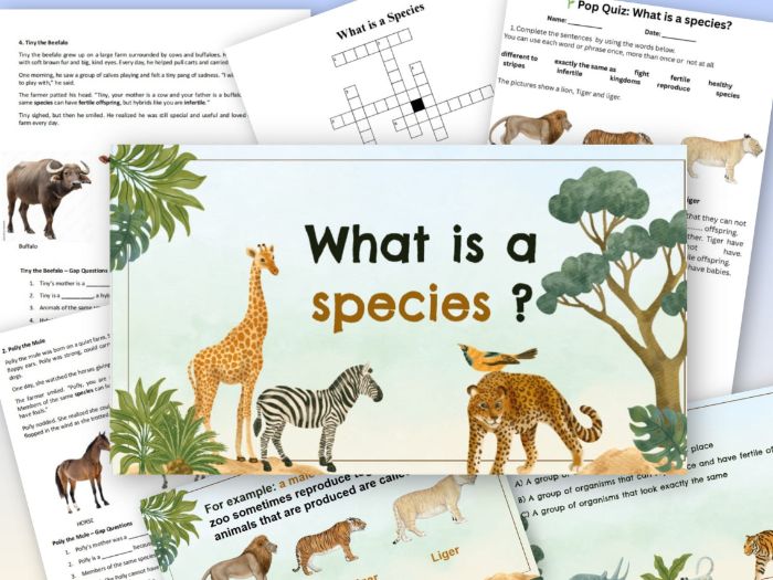 What is a species?/ Species- KS3 - Full lesson pack/Worksheet/Quiz/Slide ppt/Crossword activity