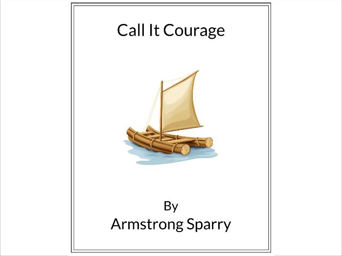 Call It Courage by Armstrong Sparry - (Lesson Plan)