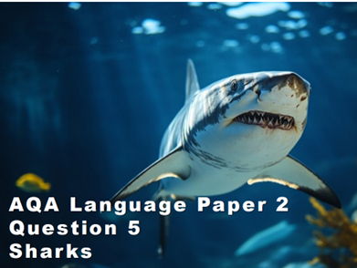 AQA English Language Paper 2 Question 5 - Sharks
