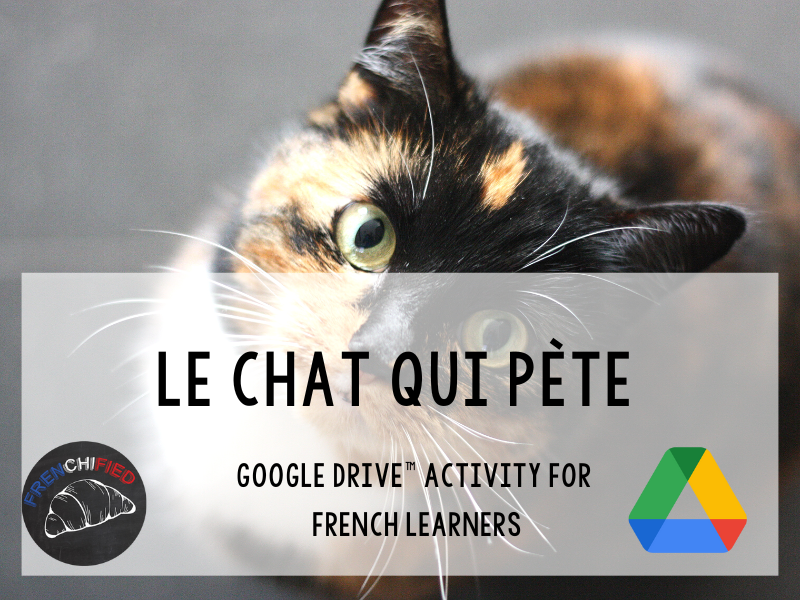 French reading comprehension activity Le Chat Qui Pète Google Drive™ Teaching Resources
