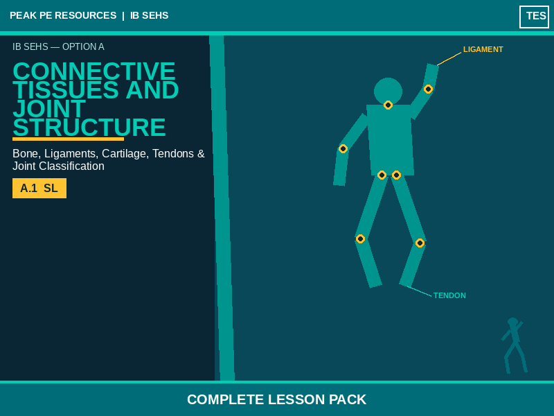 IB SEHS | Connective Tissues and Joint Structure | Complete Lesson Pack | B.1 SL