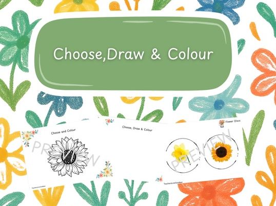 Flower Choose,Draw&Colour