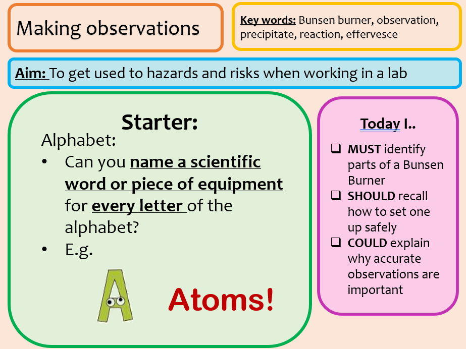 KS3 Making observations - Enquiry processes (Activate 1)