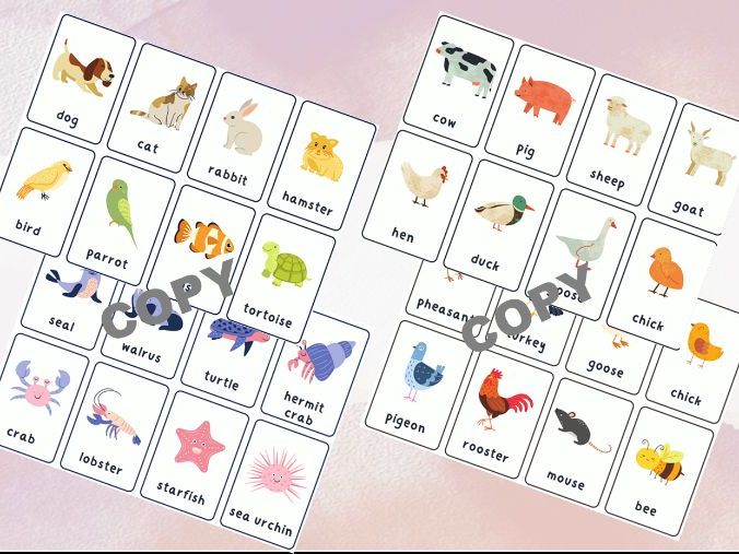 Flashcards - Animals