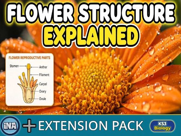 Flower Structure - KS3 Biology Extension Pack