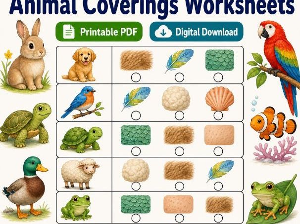 Animal Coverings Cafe