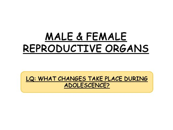 **iGCSE Biology Edexcel - MALE & FEMALE REPRODUCTIVE ORGANS**