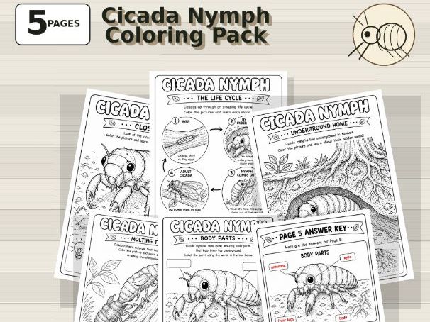 Cicada Nymph Coloring Pages | Underground Insect Science Pack for Kids (PreK-Grade 3)
