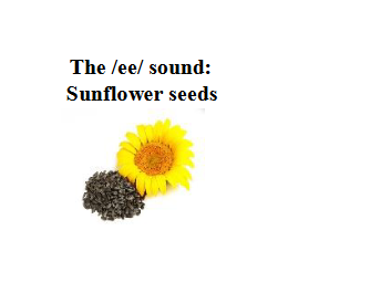 Sound Snacking!  Make your Phonics class fun!