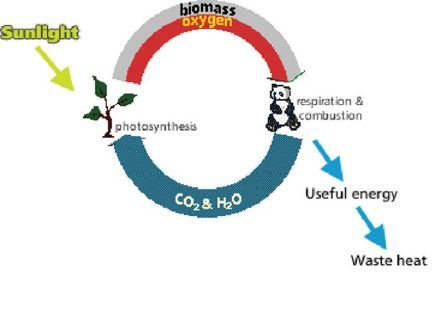 Can energy be used up? Do food and fuels contain energy?