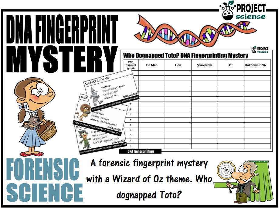 Forensic DNA Fingerprinting Mystery