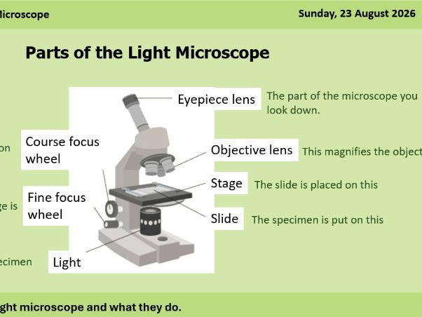 B1.1 - The World of the Microscope