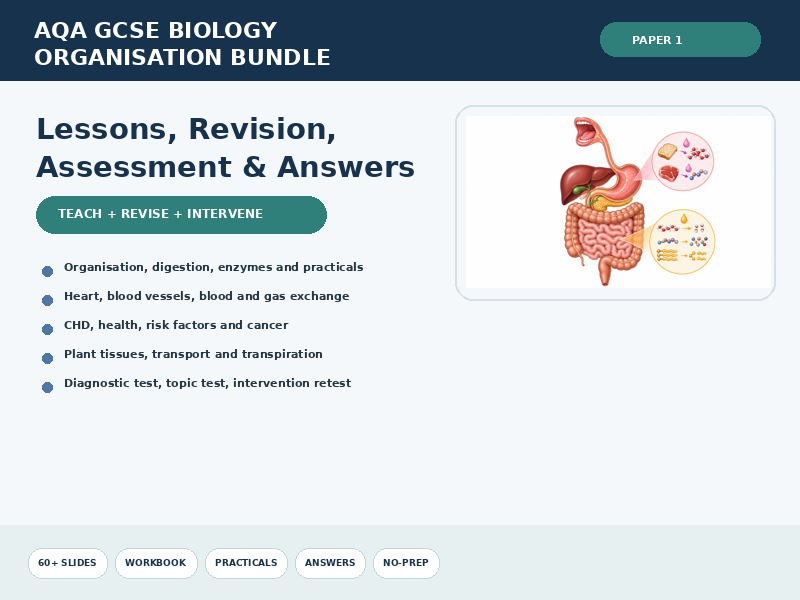 AQA GCSE Biology Organisation Bundle | Lessons, Revision, Assessment & Answers