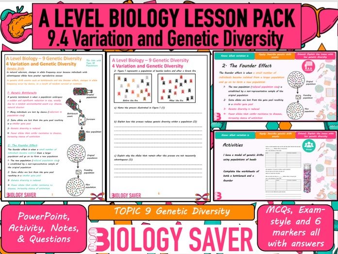 A Level Bio Lesson - 9.4 Variation & Genetic Diversity