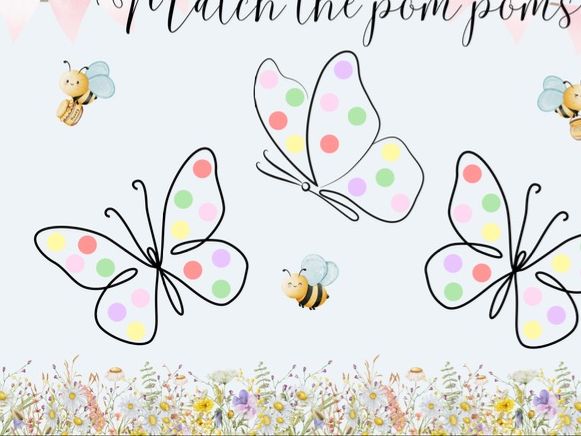 Colour Matching/Fine Motor Butterflies