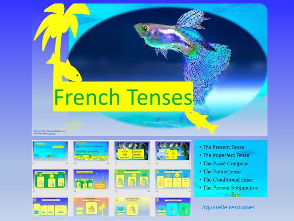 The French Tenses Present Imperfect Future Conditional Passé Composé and Subjunctive PPT