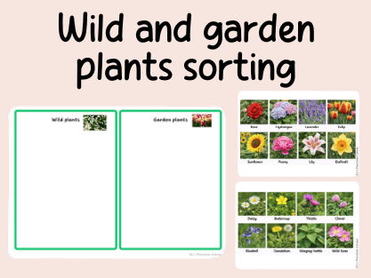 wild-garden plant sorting- Science- Plants- continuous provision